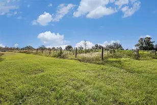 331 Lewis Rd, Lithia, FL 33547 - Photo 53