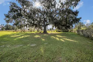331 Lewis Rd, Lithia, FL 33547 - Photo 57