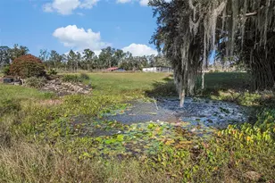 331 Lewis Rd, Lithia, FL 33547 - Photo 61