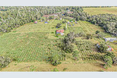 331 Lewis Road, Lithia, FL 33547 - Photo 73