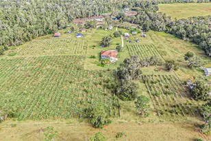 331 Lewis Rd, Lithia, FL 33547 - Photo 73