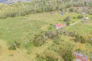 331 Lewis Rd, Lithia, FL 33547 - Photo 73