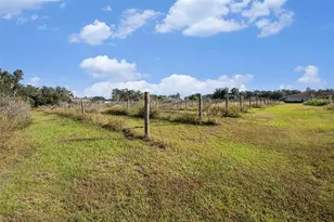 331 Lewis Rd, Lithia, FL 33547 - Photo 53
