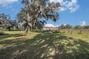 331 Lewis Rd, Lithia, FL 33547 - Photo 49