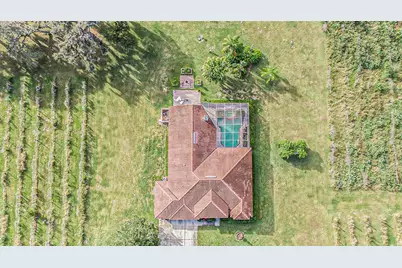 331 Lewis Road, Lithia, FL 33547 - Photo 63