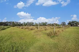 331 Lewis Rd, Lithia, FL 33547 - Photo 55
