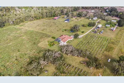 331 Lewis Road, Lithia, FL 33547 - Photo 69