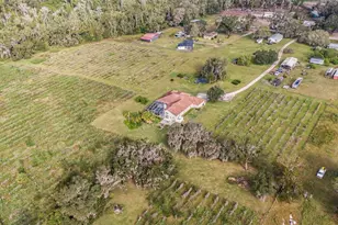 331 Lewis Rd, Lithia, FL 33547 - Photo 69