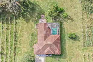 331 Lewis Rd, Lithia, FL 33547 - Photo 63