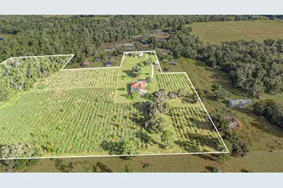 331 Lewis Road, Lithia, FL 33547 - Photo 75