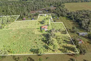 331 Lewis Rd, Lithia, FL 33547 - Photo 75