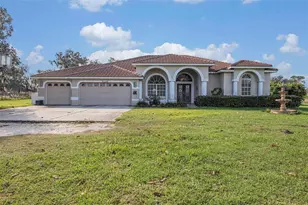 331 Lewis Rd, Lithia, FL 33547 - Photo 3