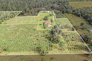 331 Lewis Rd, Lithia, FL 33547 - Photo 75