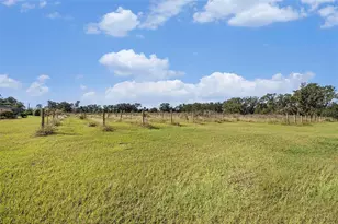 331 Lewis Rd, Lithia, FL 33547 - Photo 51