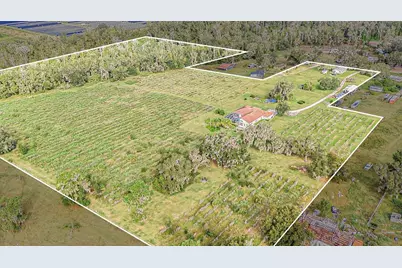 331 Lewis Road, Lithia, FL 33547 - Photo 77