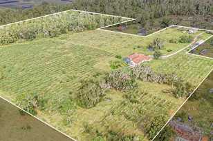 331 Lewis Rd, Lithia, FL 33547 - Photo 77