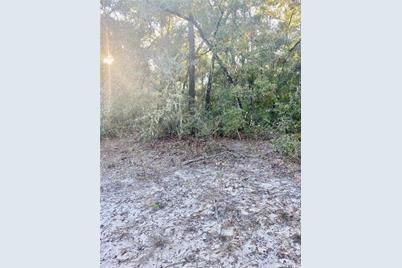 3986 S Pelican Avenue, Inverness, FL 34450 - Photo 7