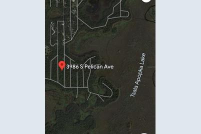 3986 S Pelican Avenue, Inverness, FL 34450 - Photo 9