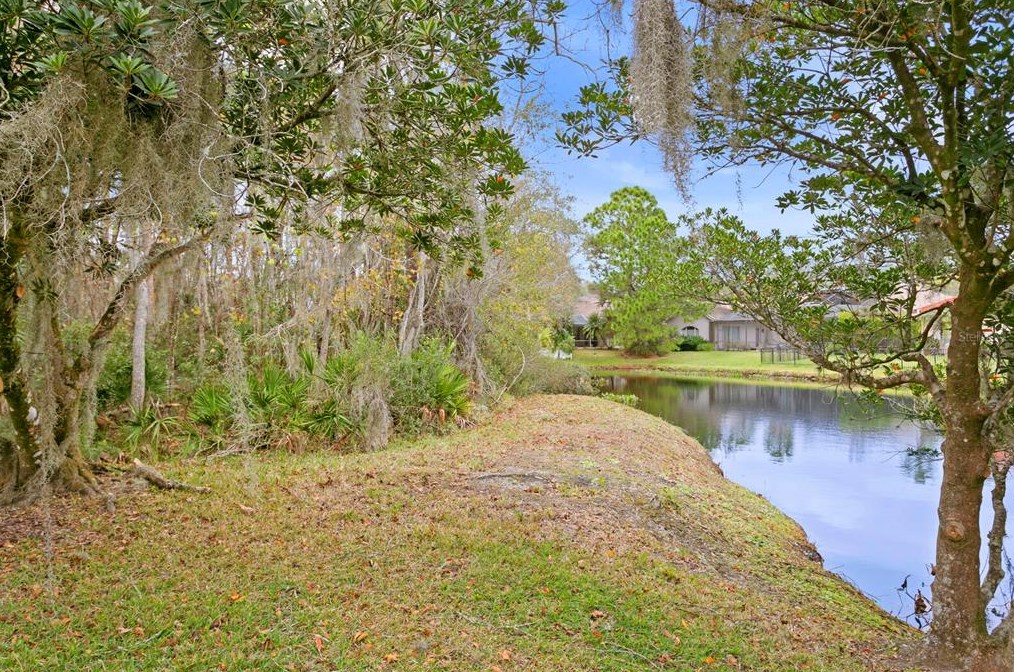 16347 Heathrow Dr, Tampa FL 33647-2641 exterior