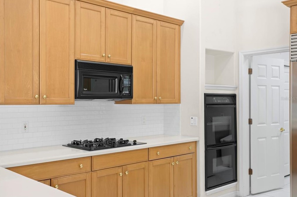 16347 Heathrow Dr, Tampa FL 33647-2641 exterior