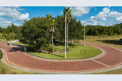 105 Bellamere Palms Court, Lutz, FL 33549 - Photo 13