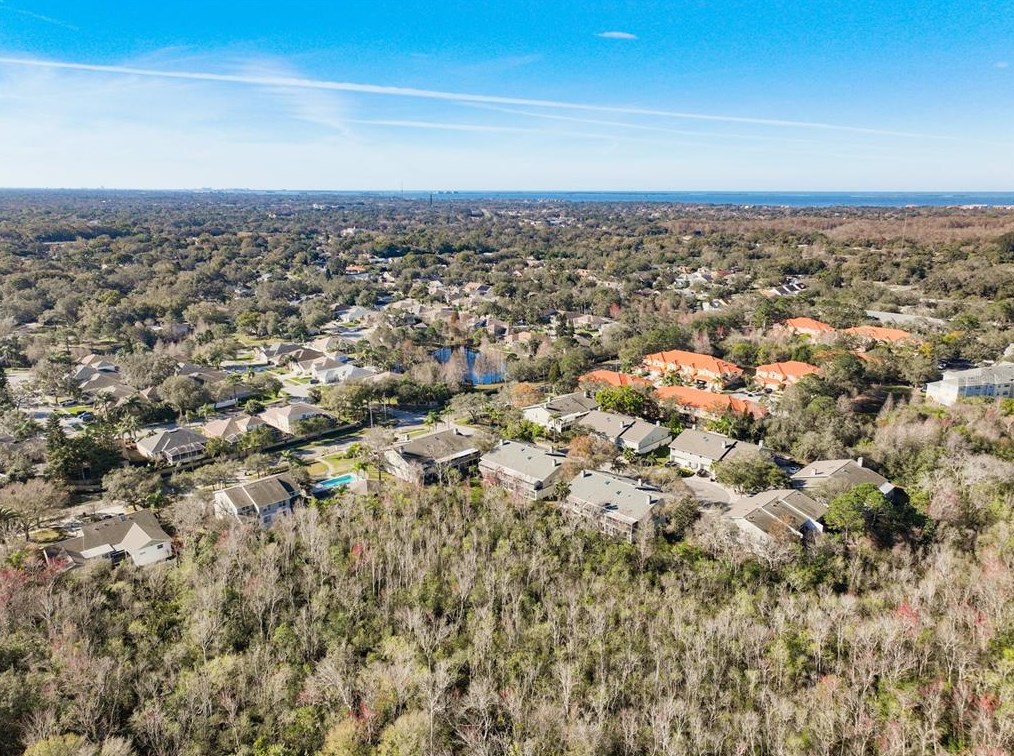 109 Kathleen Ct, Tarpon Springs FL  34689-4607 exterior