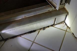 4909 Larkenheath Dr, Spring Hill, FL 34609 - Photo 7