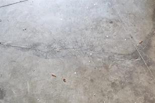 4909 Larkenheath Dr, Spring Hill, FL 34609 - Photo 9