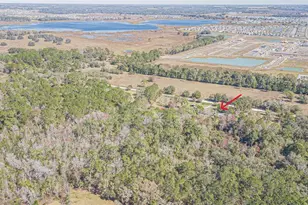 8529 Kenton Rd, Wesley Chapel, FL 33545 - Photo 39