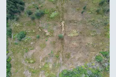 5441 Janes Drive, Wimauma, FL 33598 - Photo 11