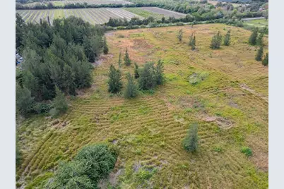 5441 Janes Drive, Wimauma, FL 33598 - Photo 3