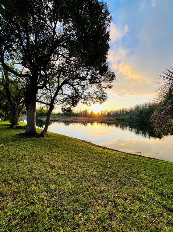 2117 Park Crescent Dr, Land O Lakes FL  34639-5469 exterior