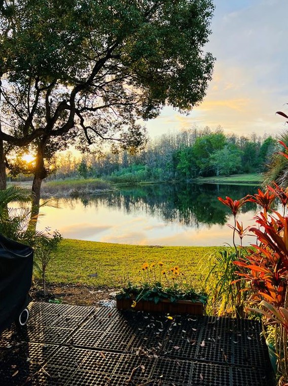 2117 Park Crescent Dr, Land O Lakes FL  34639-5469 exterior