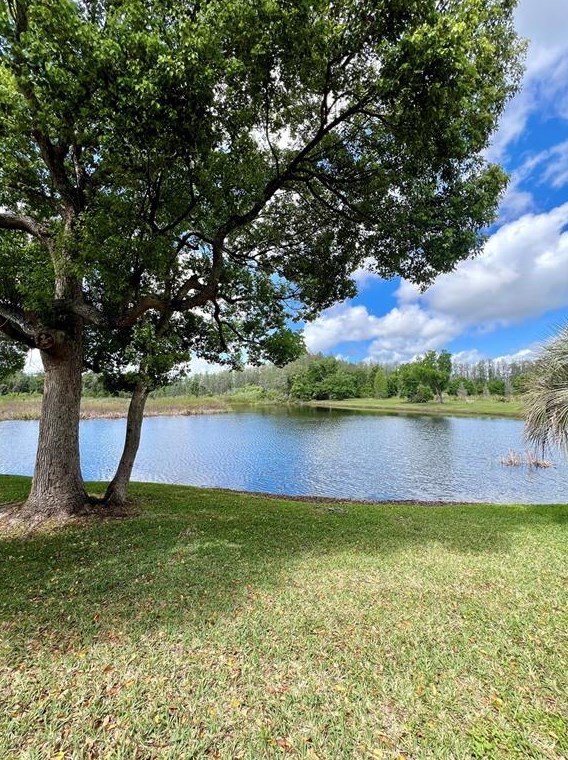2117 Park Crescent Dr, Land O Lakes FL  34639-5469 exterior