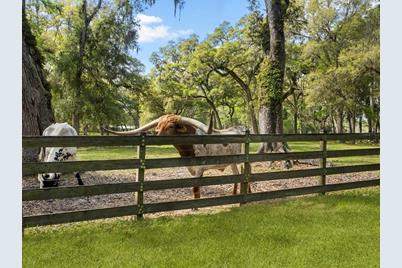 10820 SW 31st Way, Webster, FL 33597 - Photo 7