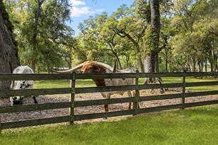 10820 SW 31st Way, Webster, FL 33597 - Photo 7