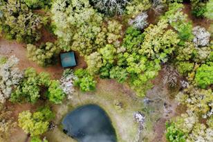 10820 SW 31st Way, Webster, FL 33597 - Photo 3