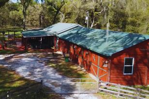 10820 SW 31st Way, Webster, FL 33597 - Photo 5