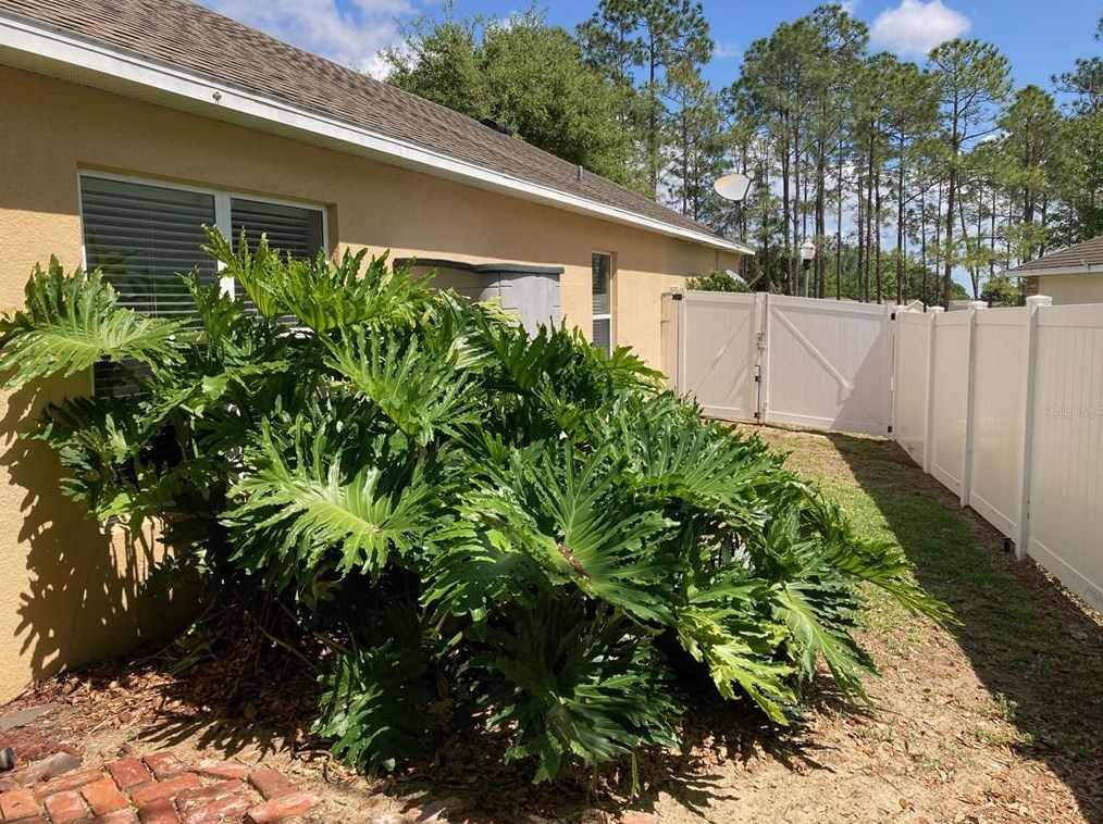 1011 Susan Dr, Lake Wales FL  33853-2757 exterior