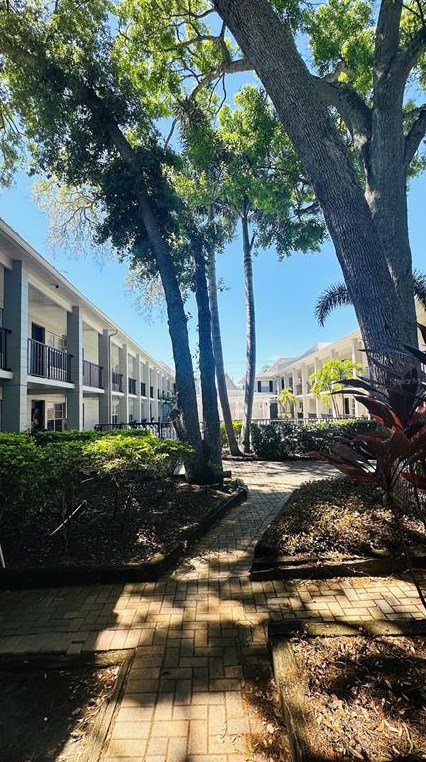 5221 Bayshore Blvd, Tampa FL  33611-4109 exterior