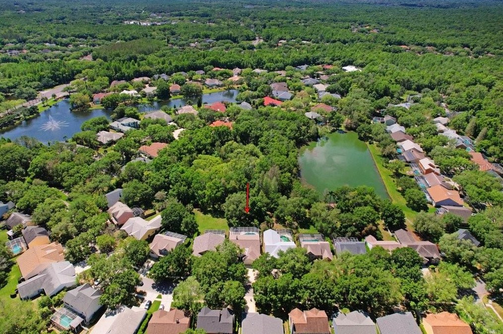 4943 Ebensburg Dr, Tampa FL  33647-1383 exterior