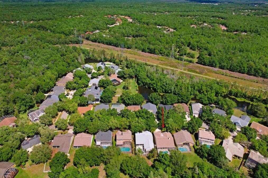 4943 Ebensburg Dr, Tampa FL  33647-1383 exterior