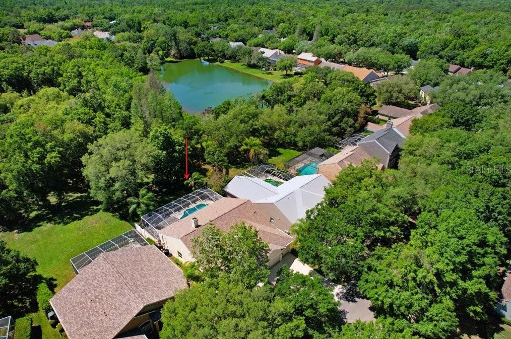 4943 Ebensburg Dr, Tampa FL  33647-1383 exterior