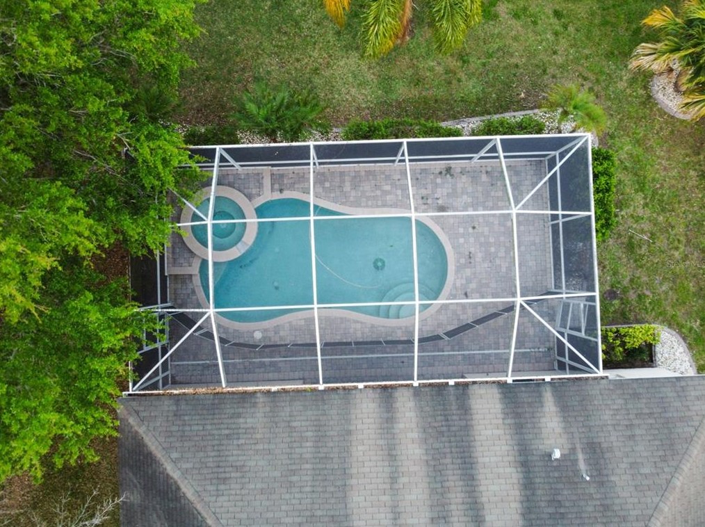 11806 Summer Spg Dr, Riverview FL 33579-4074 exterior