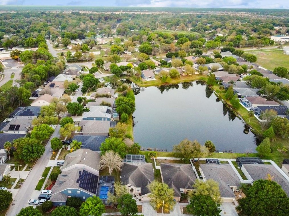 11806 Summer Spg Dr, Riverview FL 33579-4074 exterior