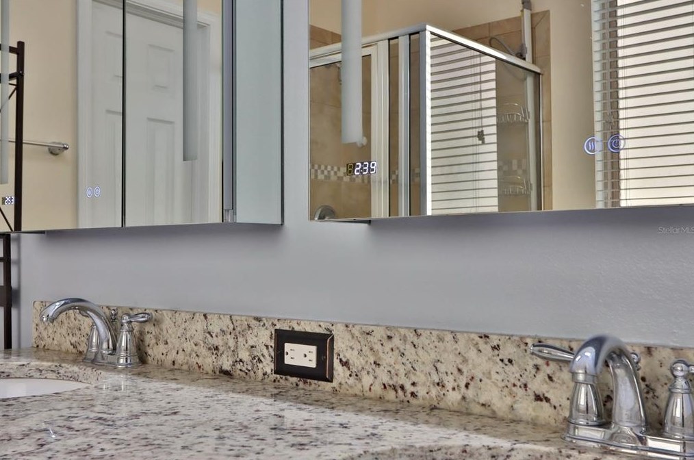 9216 European Olive Way, Riverview FL  33578-8678 exterior