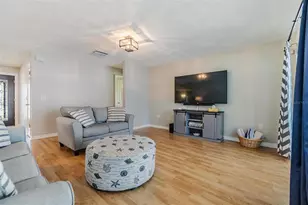 1 Fernery Ln, Safety Harbor, FL 34695 - Photo 33