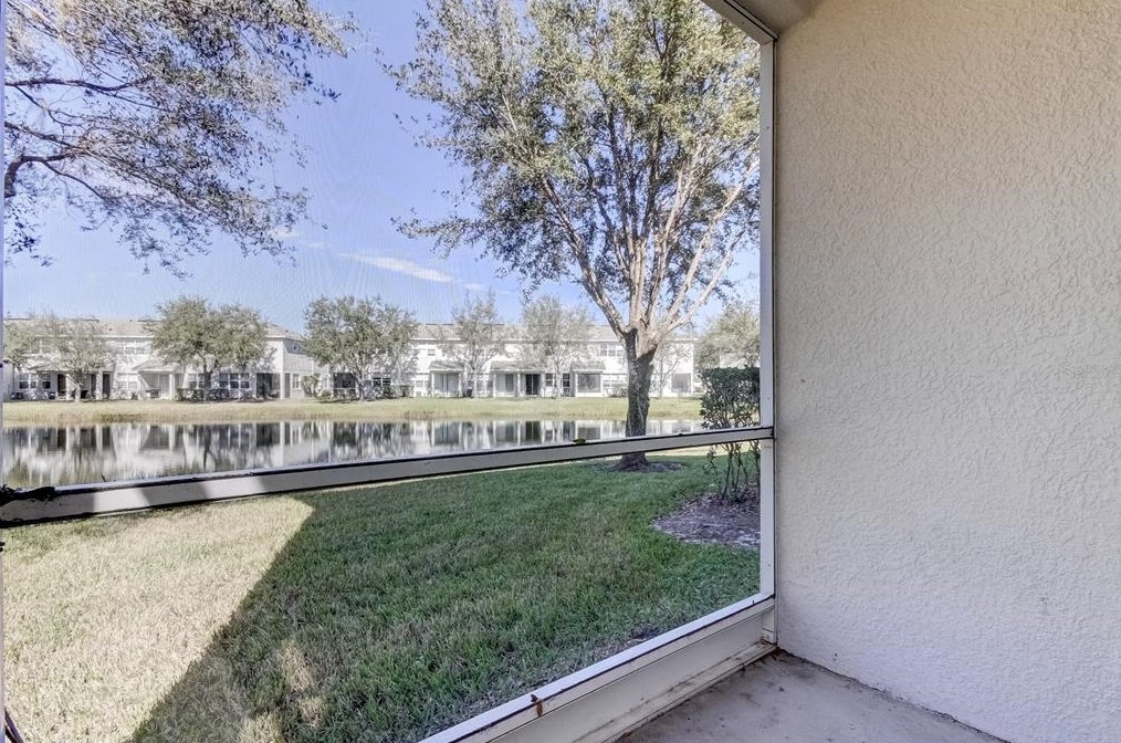 10302 Stone Moss Ave, Tampa FL 33647-3533 exterior