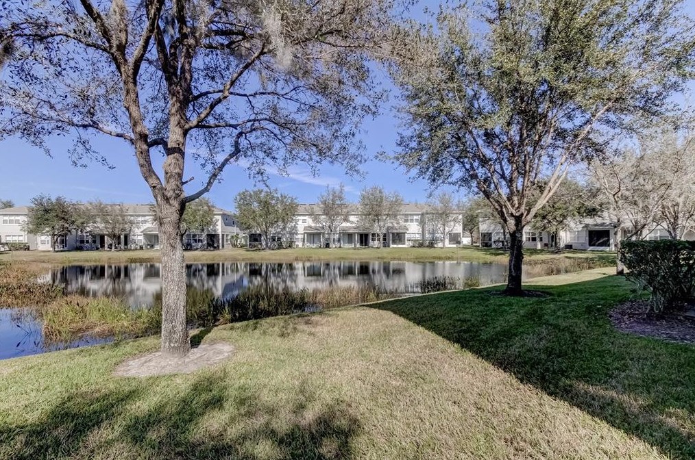 10302 Stone Moss Ave, Tampa FL 33647-3533 exterior