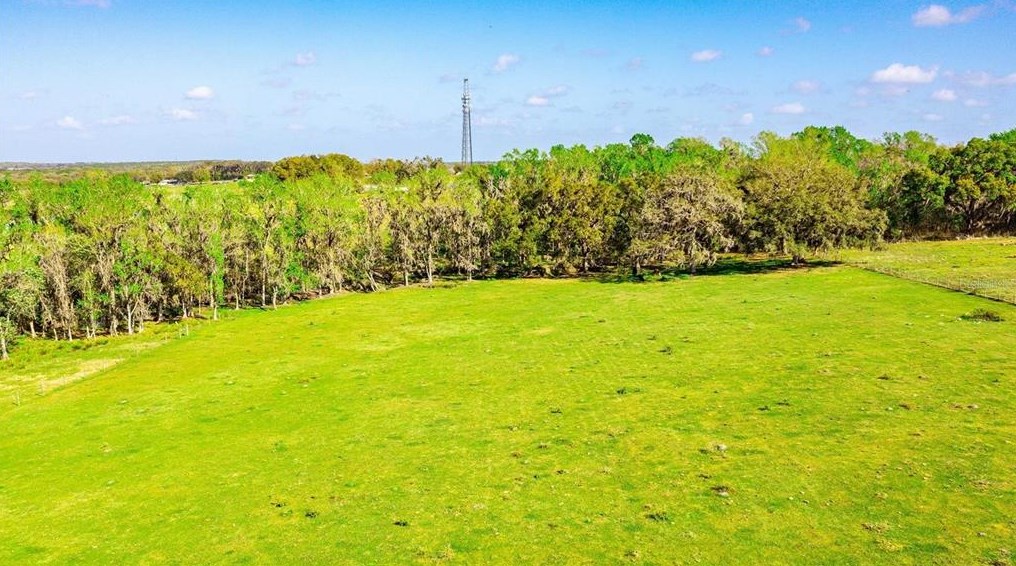 14748 Matt Barthle Rd, Dade City FL  33525-7332 exterior